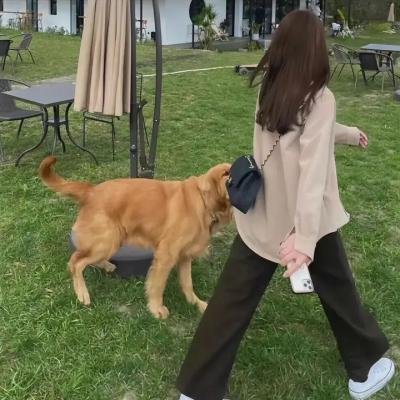 星运里的错